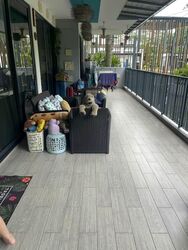 The Rainforest (D23), Condominium #567574741